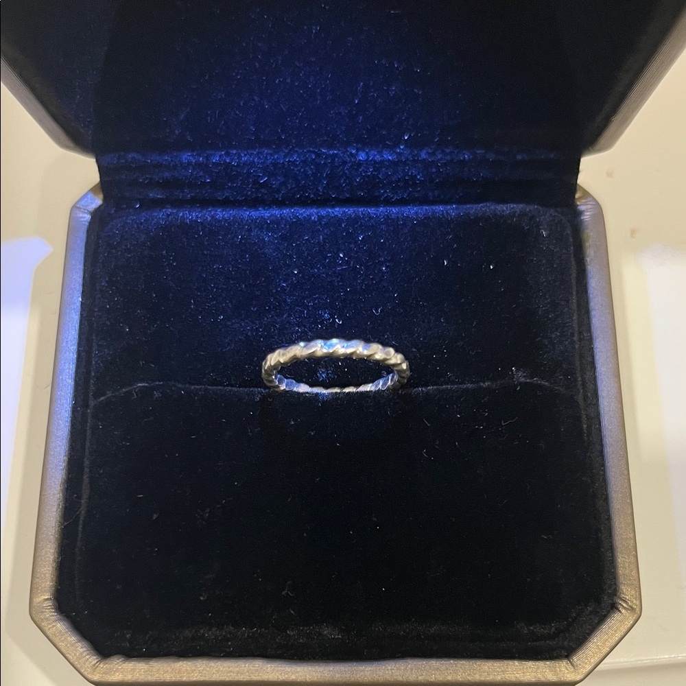 Delicate Twisted Band Ring - Sterling Silver